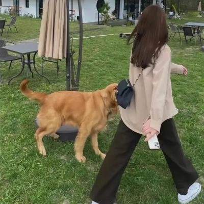 瑾娘